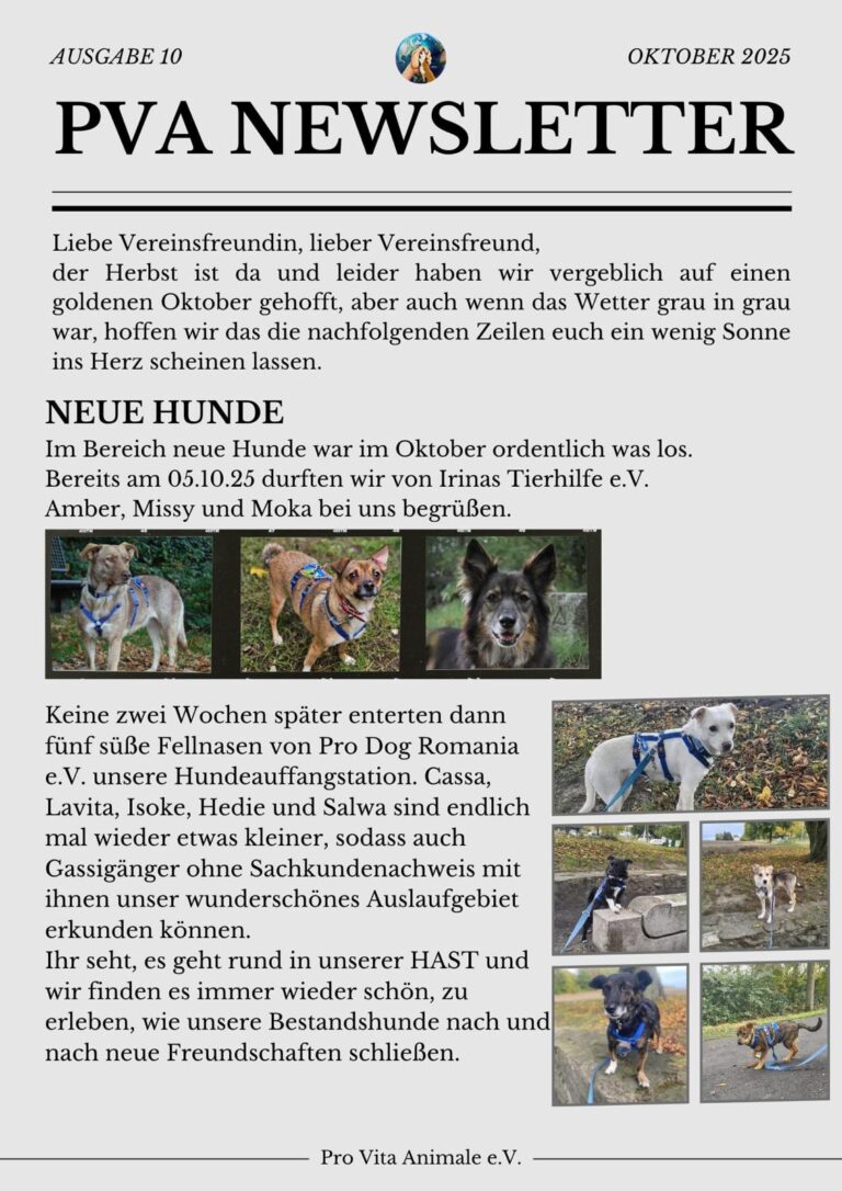 Oktober 2025